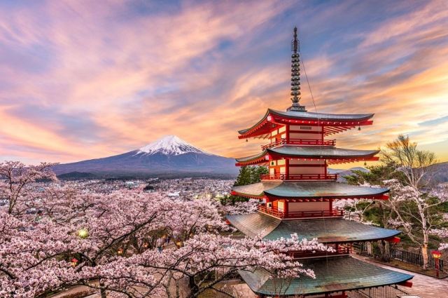 Sakura Dönemi Dolu Dolu Japonya Turu Mistik Rotalar
