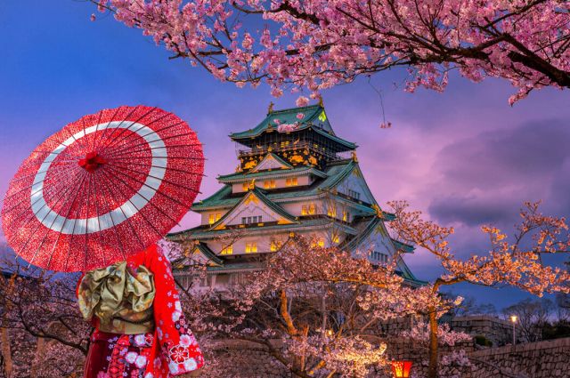 Comfort Japonya & Kore Turu Türk Hava Yolları ile 9 Gece Ekstra Turlar Dahil!! - NRT-ICN -